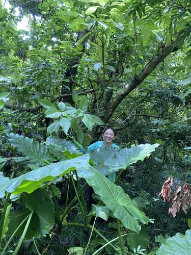 賀！本系碩士班林亮辰同學榮獲 2025 年森林資源永續發展研討會 「學生海報發表（林學組）」 第一名圖片